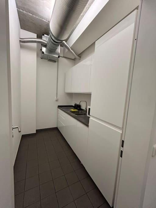 Elbapartment 29 Qm Mit Eigenem Badezimmer Hamburgo Exterior foto